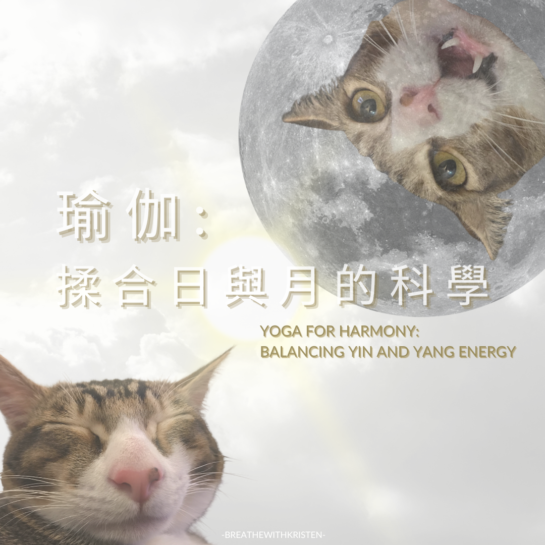 身心靈/哈達瑜伽hathayoga/瑜伽初學/基礎瑜伽/瑜伽科學/滿月瑜伽